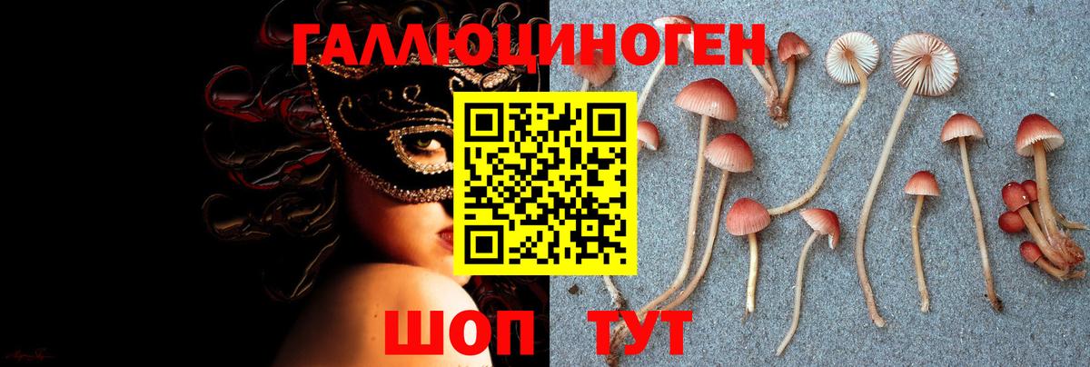 Галлюциногенные грибы Cubensis Петропавловск-Камчатский